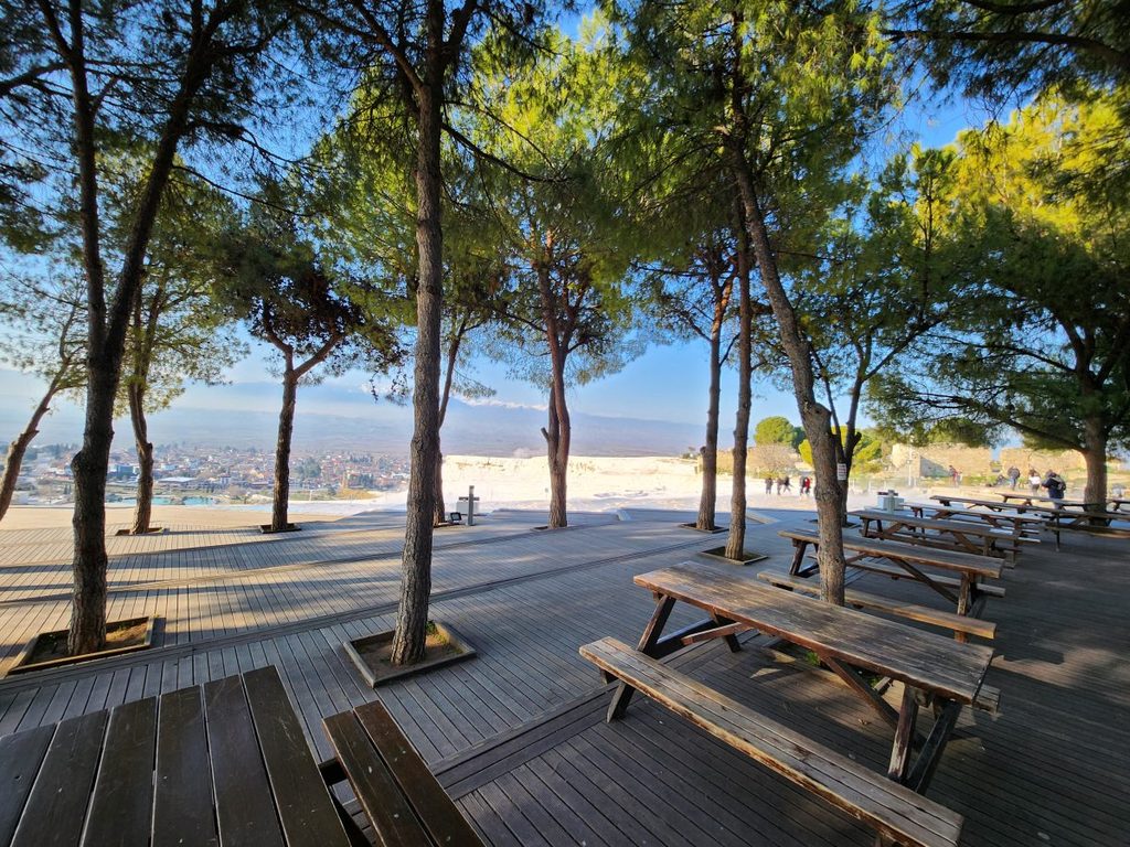 A shady rest area under lush green trees with picnic tables and benches before the barefoot entry point